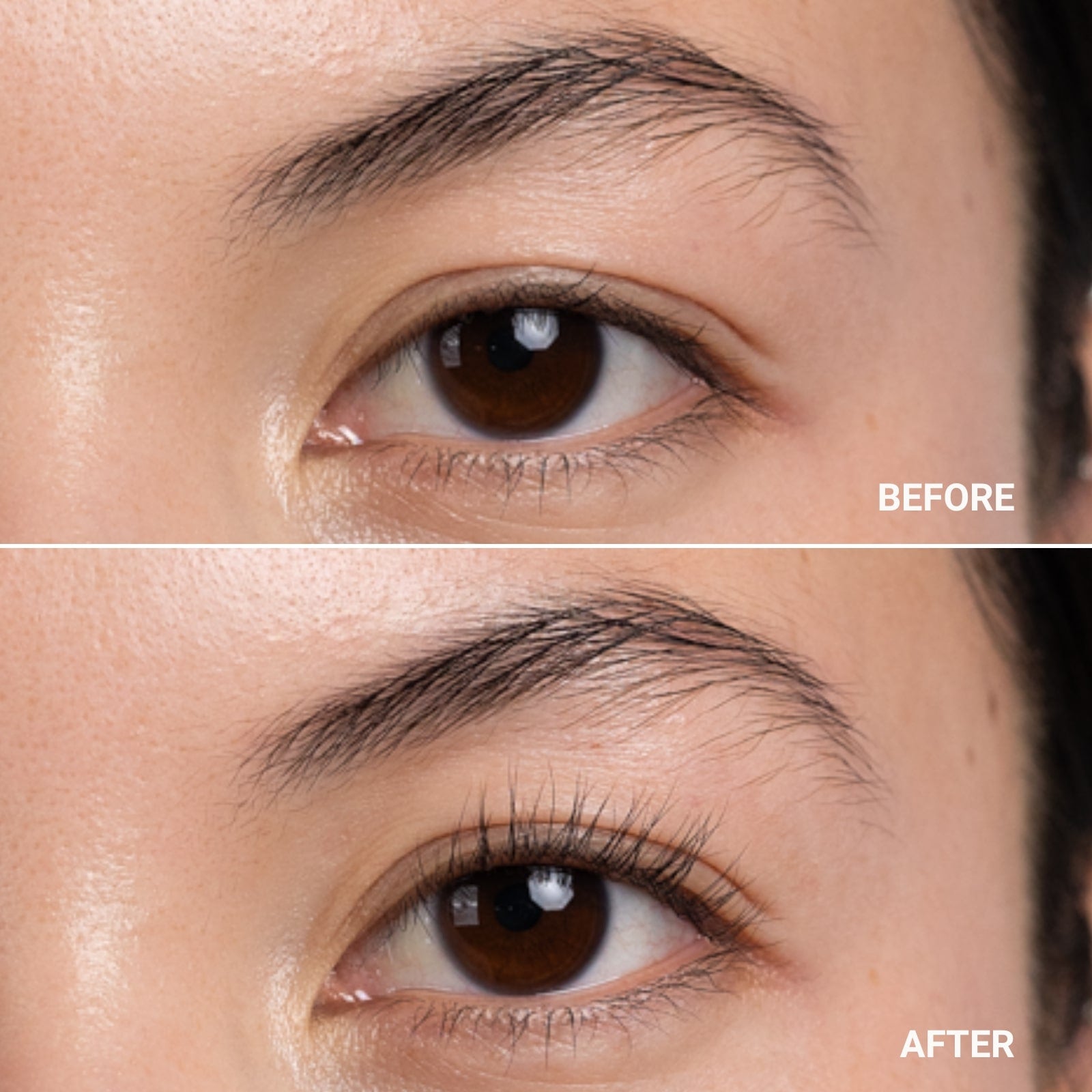 EYELASH CURLER